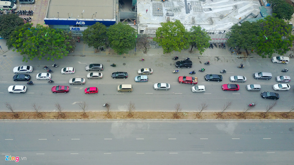 Trồng phong lá đỏ, đường phố Hà Nội sẽ giống châu Âu, Hàn Quốc?